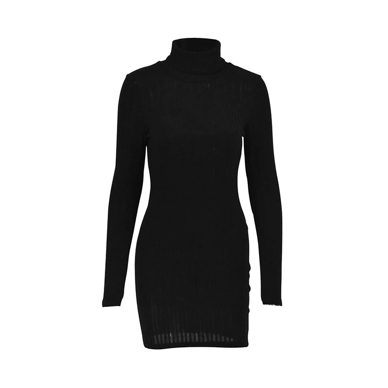 WomensOneStopShop™  Women Long Sleeves Turtleneck Sexy Dress